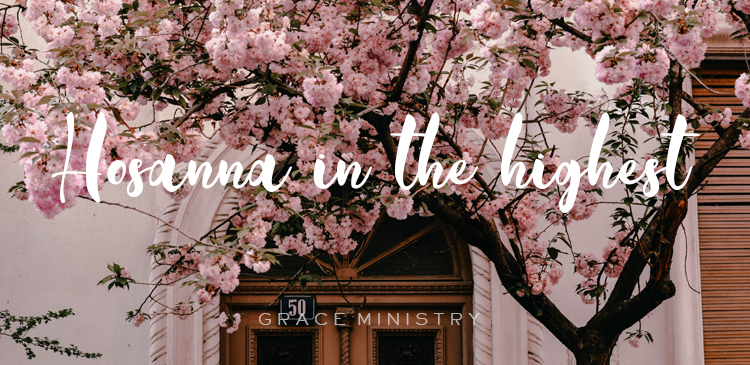Bro Andrew Richard Daily Devotion - Hosanna in the highest